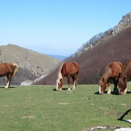 App- Palazzo By Interhome Apartment Arcevia