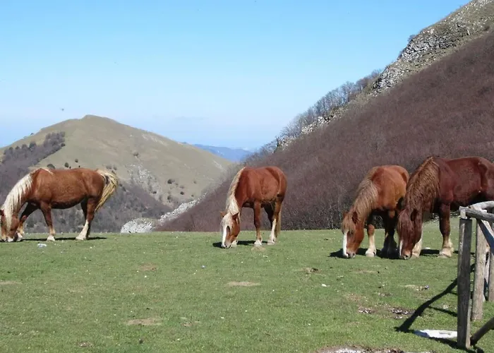 App- Palazzo By Interhome Apartamento Arcevia